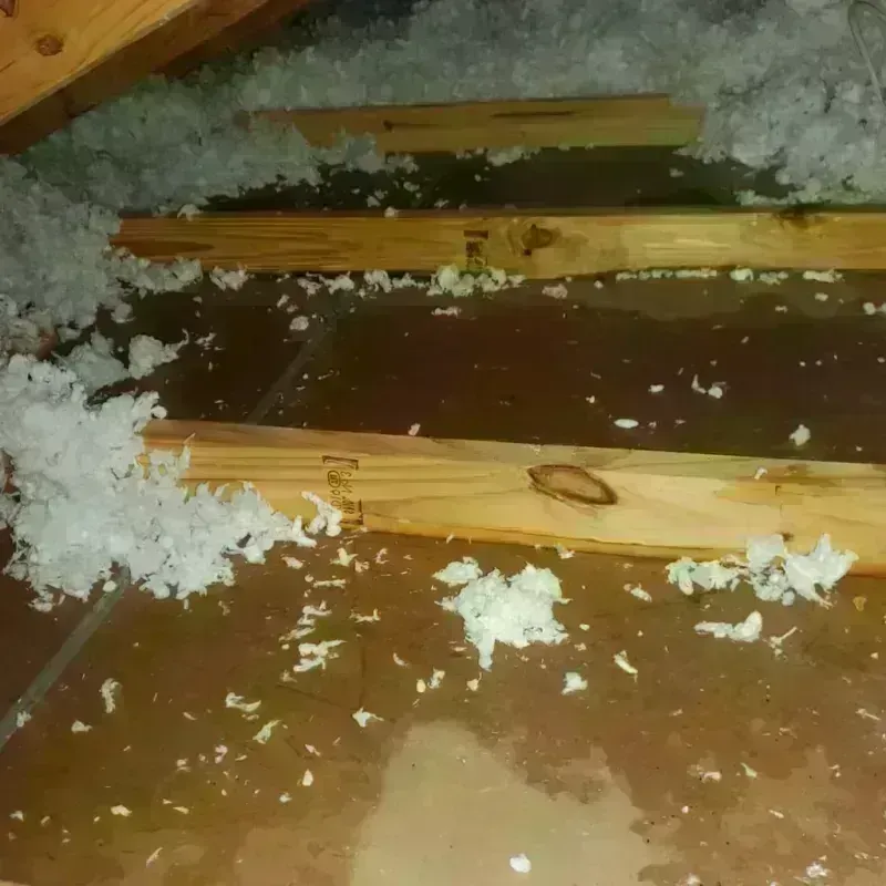 Attic Water Damage in Ames, TX