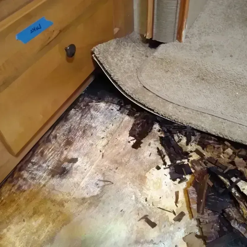 Wood Floor Water Damage in Ames, TX